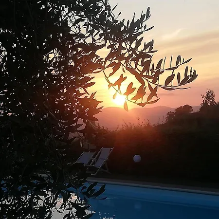 Glamping Tuscany - Podere Cortesi 캠프장