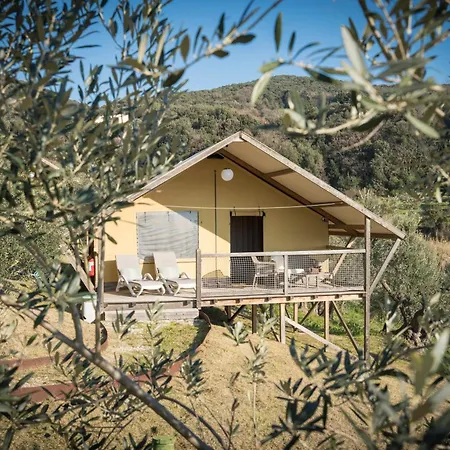 Glamping Tuscany - Podere Cortesi Camping
